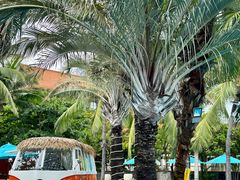 -三亚海棠湾万丽度假酒店