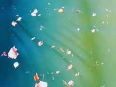 -天津东丽湖风景区