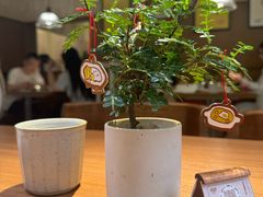 -CURRY YA 熟成咖哩專門店(深圳湾万象城店)