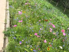 -长春世界雕塑园冰雪艺术天地