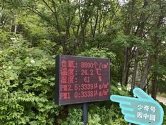 -五营红松林海景区