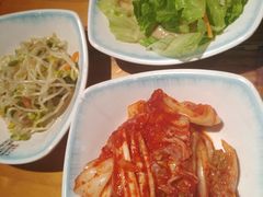 韩式辣白菜-唯成•韩国炭火烤肉 유성고기