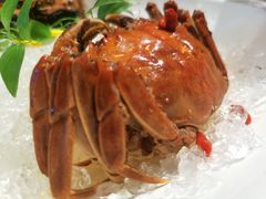 枸杞菊花醉六月黄-蟹榭·本帮江浙菜·蟹宴(五角场合生汇商场店)