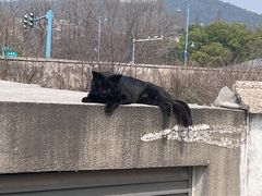 -星巴克(长沙麓南广场店)