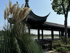 -梁鸿国家湿地公园