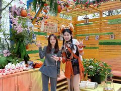 -沂蒙山旅游区云蒙景区(蒙山国家森林公园)