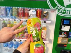-石排湾郊野公园