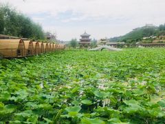 -渭南桃花源民俗文化园