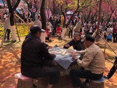 -昆明动物园
