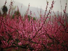 -金堂县云顶石城风景区