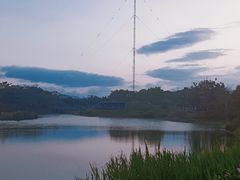 -福田红树林生态公园