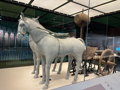 -淮安市博物馆
