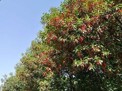 -白塘生态植物园