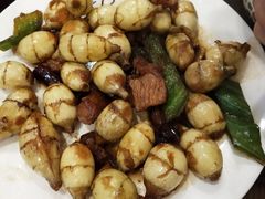 -汤山温泉房车营地 茶温泉