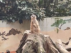 -杭州少年儿童公园