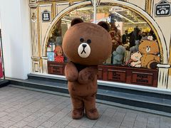 -line friends(明洞旗舰店)