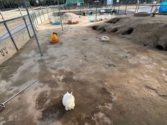 -前小桔亲子创意农场·草莓采摘·露营烧烤