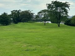 -盘龙城国家考古遗址公园