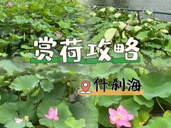 -什刹海