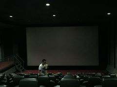 -华美国际影城(旧宫永辉店)
