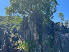 -玉石林风景区