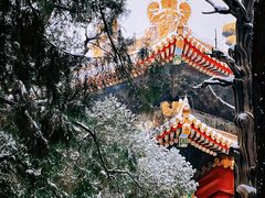 -故宫博物院(故宫)