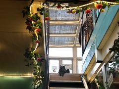 -猫小院猫主题咖啡厅(北锣店)