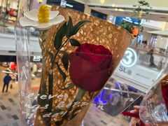 -王府井奥莱棋盘山小镇