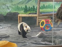 -秦皇岛野生动物园