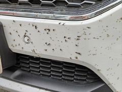 -脉冲品质汽美·贴膜(闵行店)