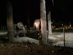 -清迈夜间动物园