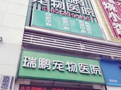 -瑞鹏宠物医院华南总院·夜诊·心脏科·骨科