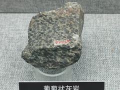 -甘肃地质博物馆