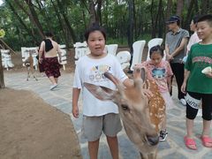 -南戴河国际娱乐中心