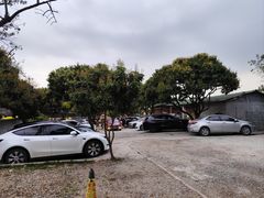 -满記土窑烧鷄波浪山莊