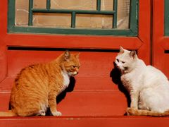 -晋阳饭庄(虎坊桥店)