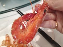 -骏莱海鲜鱼港(五角场店)