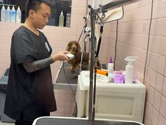 -FAELING PETS美天灵宠物(富力广场店)