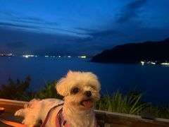-Brew Farm·精酿农场海滨悬崖餐厅