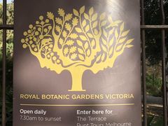 -墨尔本皇家植物园