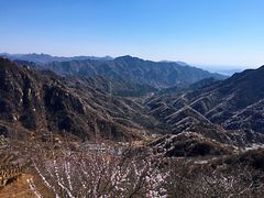 -大岭沟猕猴桃谷风景区