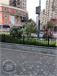 -金太子形象设计