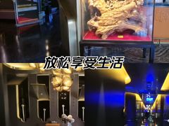 -索拉古贝(义乌北苑店)