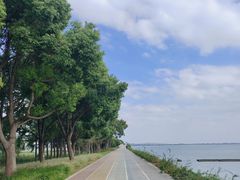 -贡湖湾湿地公园