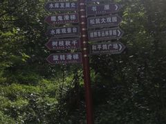 -欢乐松鼠谷