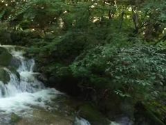 -陕西省红河谷森林公园
