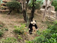-南宁市动物园