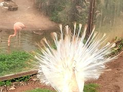 -海南热带野生动植物园