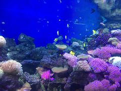 -成都浩海立方海洋公园