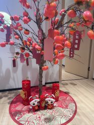-skin79皮肤管理中心